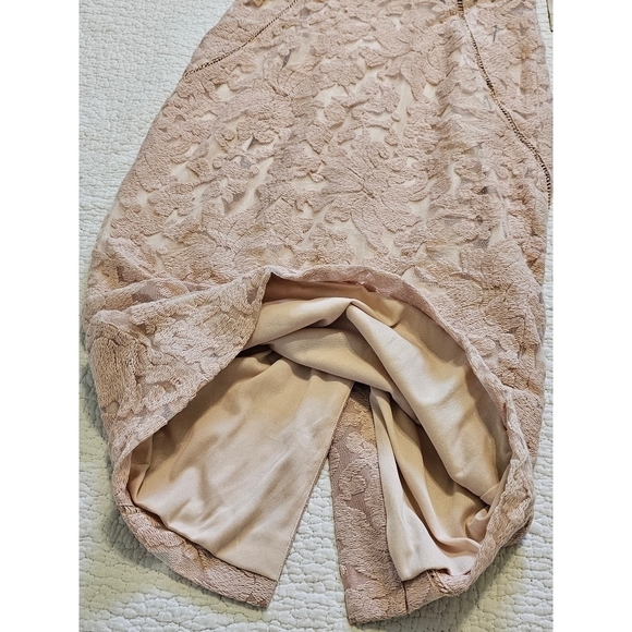 Rachel Roy Blush Lace Dress NWT - Picture 3 of 13